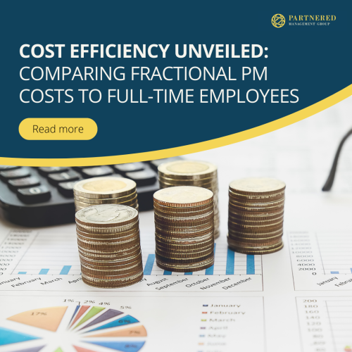 Fractional Project Manager